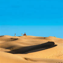 Desert