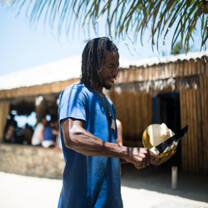 Man cuts fresh coconut