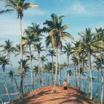 Palm trees and ocean view in Sri Lanka
