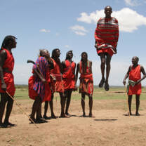 Masai Mara displaying jumping 