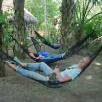 Volunteers in hammocks