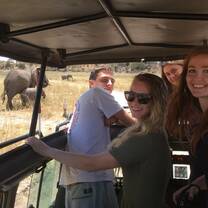 Viewing a family of Elaphants up close and personal