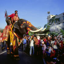 Festival with elephants