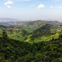 Rolling hills view