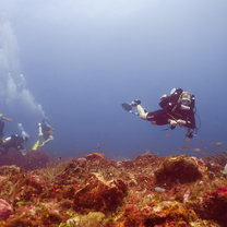 Learning to dive bubble free on a CCR