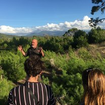 The lush greenery of the Peloponnese.