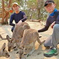Male volunteer with kangaroos at a volunteer wildlife sanctuary in Australia