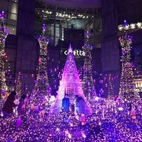 When you visit Tokyo in winter, remember not to miss the light illuminations. They have different themes and settings each year.