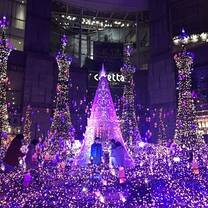 When you visit Tokyo in winter, remember not to miss the light illuminations. They have different themes and settings each year.