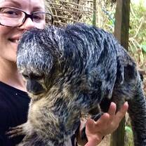 Luna, the sweet saki monkey loves to cuddle.
