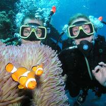 Dive volunteers conserving the Great Barrier Reef