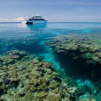 Dive volunteers diving with a turtle in the Great Barrier Reef
