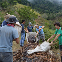 Dream Volunteers - Costa Rica