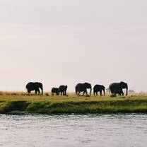 Safari in Botswana
