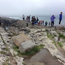 UCD Summer Internship excursions 