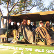 Group off on safari