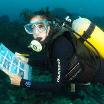 Scuba diving conducting research