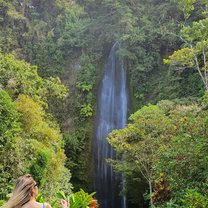 Pura vida