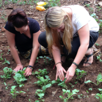 Volunteers on conservation