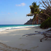 Beach scene on North Island, Seychelles