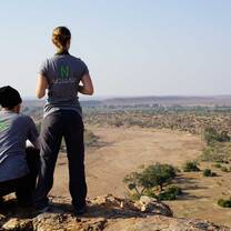 Volunteers looking over a savannah in Southern Africa