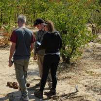 Recording elephant data