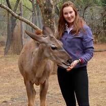Volunteer with animals at the African Wildlife Orphanage
