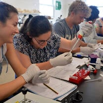 CRE Lab Session