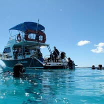 Visiting the reef