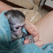 Orphaned baby who needed a lot of love