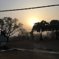 Mole national park