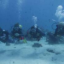 Girl dive team