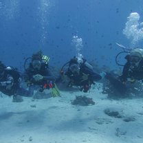 Girl dive team