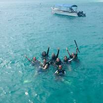 TIC Dive Pals