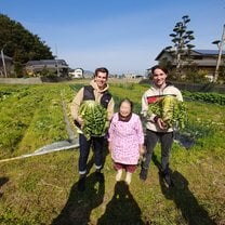 Farming the locally produced vegetable, daikon, which is used in many of Itoaguri's dishes.