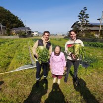 Farming the locally produced vegetable, daikon, which is used in many of Itoaguri's dishes.