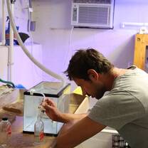 U.K. intern coral restoration project