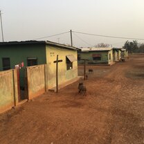 Mole national park  Mole national park