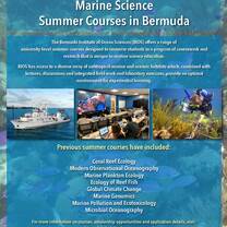 Summer Course Flyer