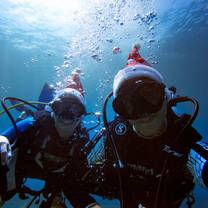 Christmas Dive!