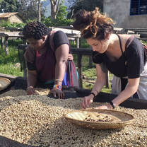 Coffee farming