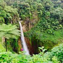 Lush jungle and waterfall in Costa Rica