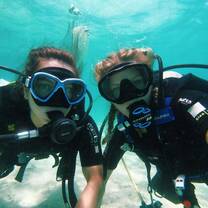 TIC Dive Buddies