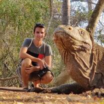 The mighty Komodo Dragons up close
