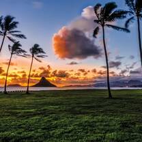 Summer in Hawai'i
