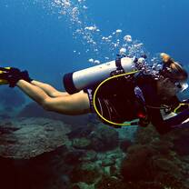 TIC Dive Mapping