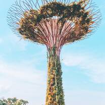 Summer in Singapore - Singapore Management University