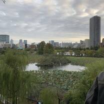 Japans Nature