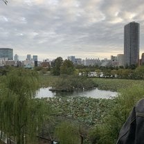 Japans Nature