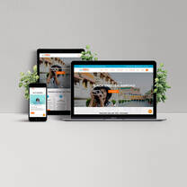TEFL Online